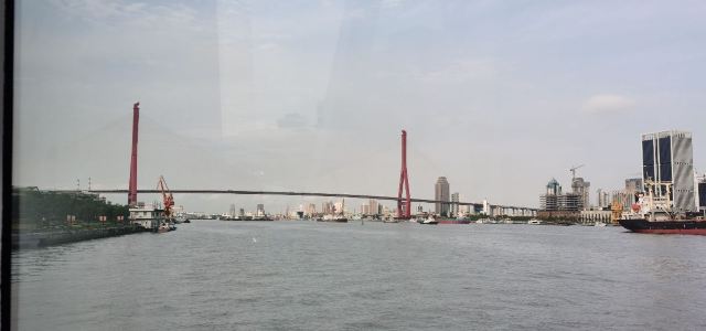 大桥公园旅行图片 2