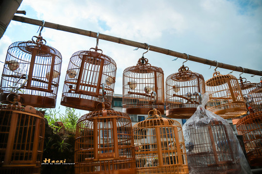 入伏天,我在黔东南一座叫【黎平】的小城,边走边拍