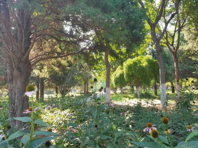 兴隆公园旅行图片 3