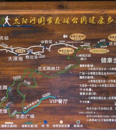 中国科学院西双版纳热带植物园游记图文-动植物给人的美感 云南游之三终结篇
