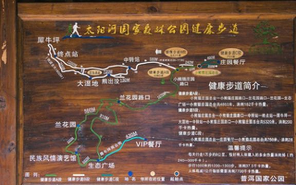 动植物给人的美感 云南游之三终结篇