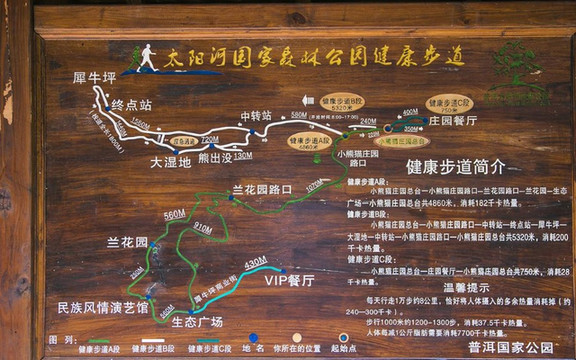 动植物给人的美感 云南游之三终结篇