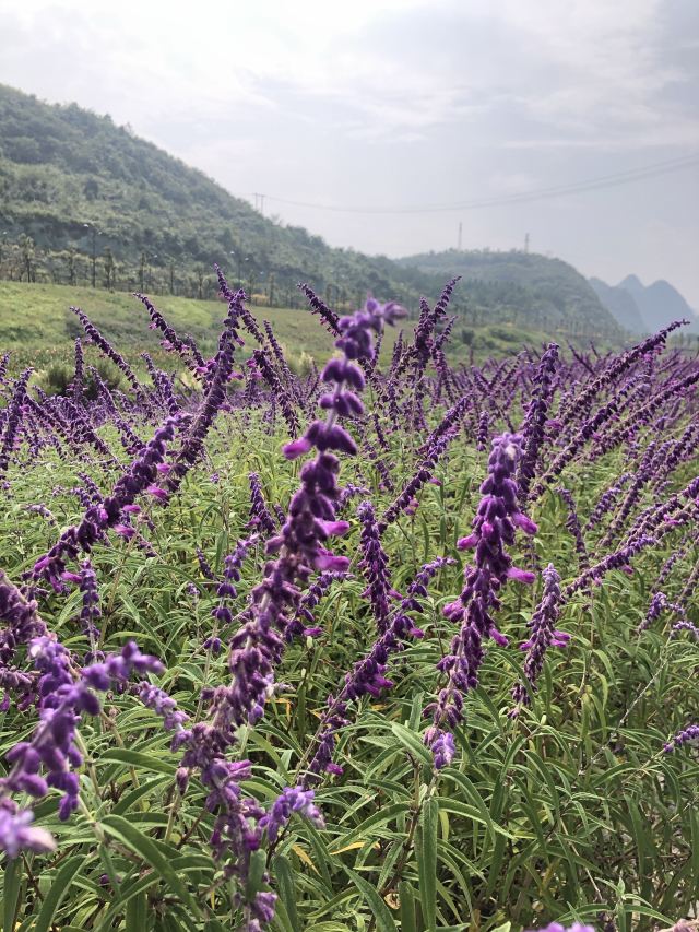 神泉谷景区旅行图片 6