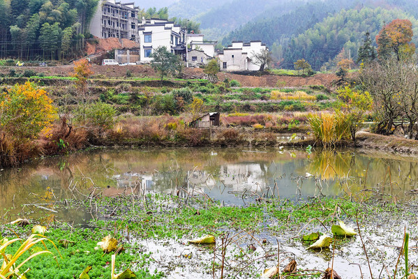 黄山协里：距宏村不到2公里的生态村，一到深秋便美的不可言喻