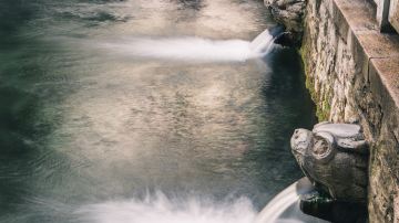 Black Tiger Spring