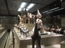 新疆维吾尔自治区博物馆-乌鲁木齐-阿尔布斯肖恩