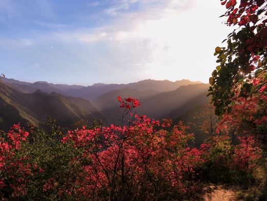 圭峰山