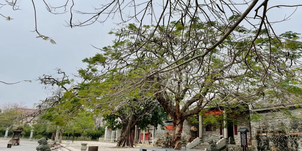 永安旅遊