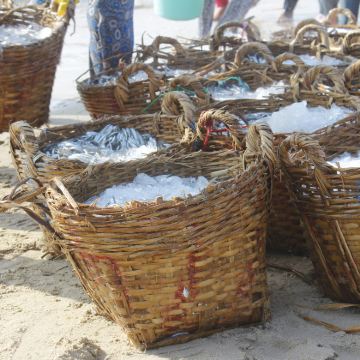 越南胡志明市+美奈+芽庄+河内5日4晚自由行