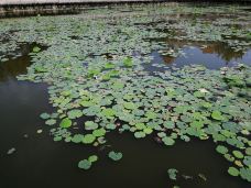 南普陀寺-放生池-厦门-老外6