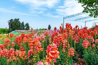 盘点昆明周边亲子主题乐园，好玩好看还不贵，遛娃绝招都在这里！