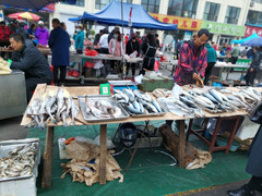 集安游记图片] 枫叶红了长白山（集安，赶集）