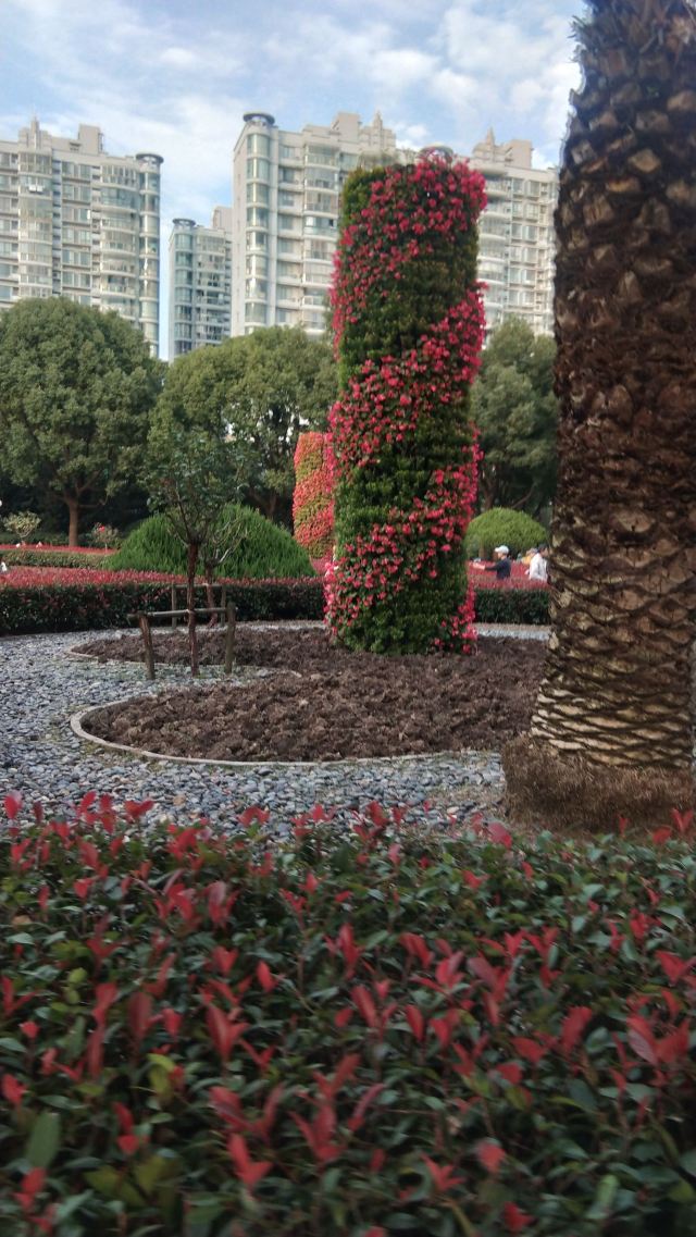曲阳公园旅行图片 3
