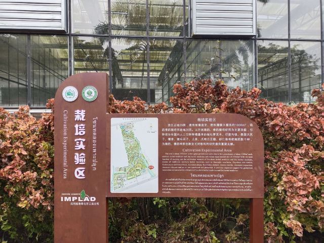 西双版纳南药园旅行图片 6