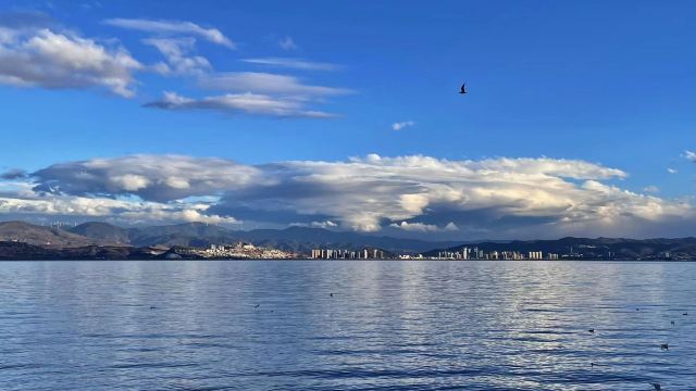 洱海月湿地公园旅行图片 2