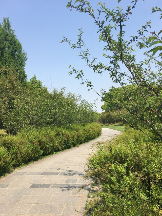 奉浦四季生态园旅行图片 3