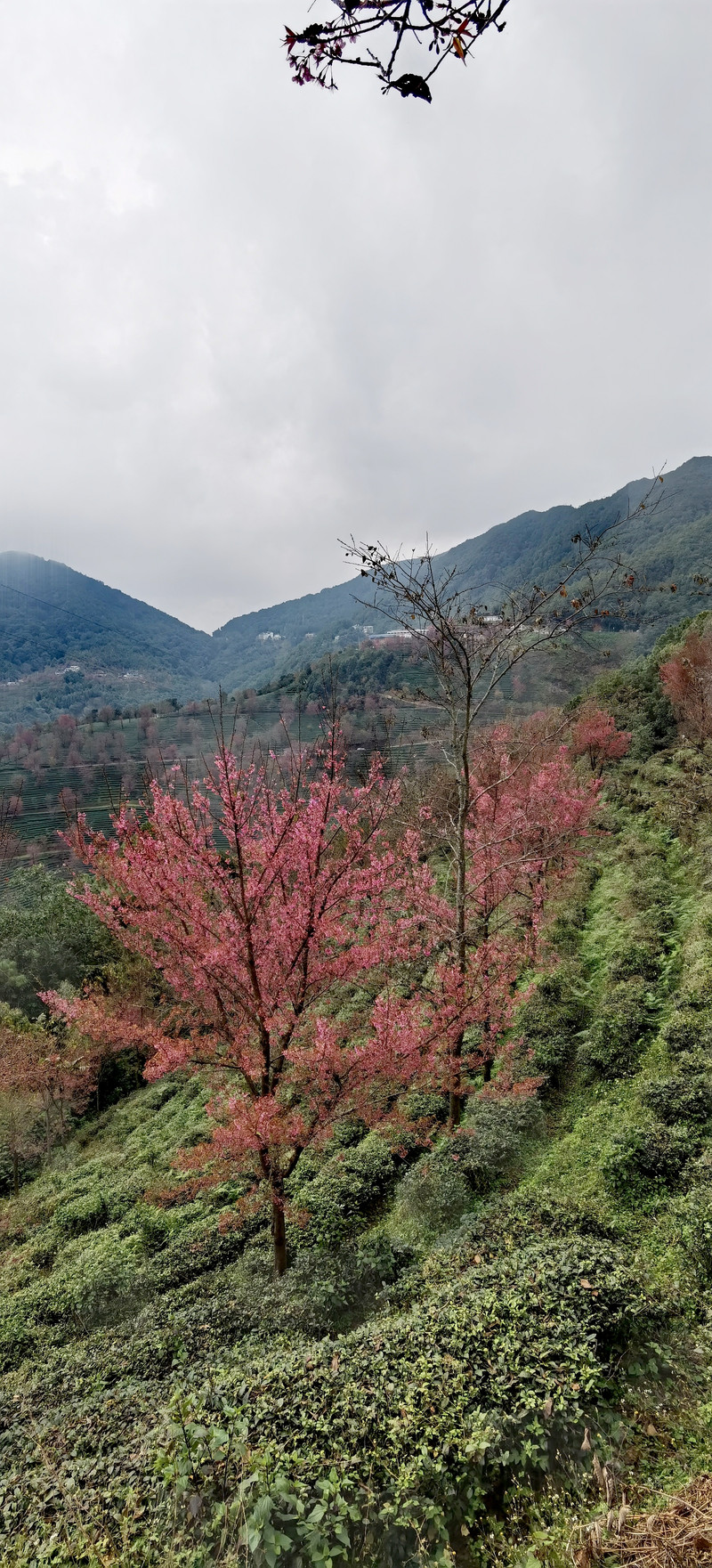 昆明旅游网