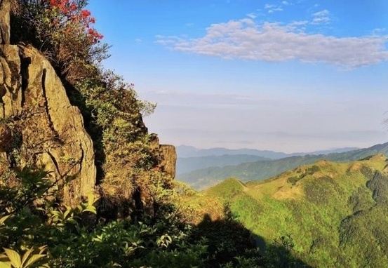 罗溪国家森林公园(暂停开放)旅行图片 1
