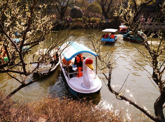 莘庄公园旅行图片 6