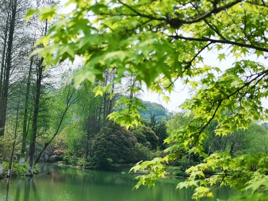 超山风景名胜区