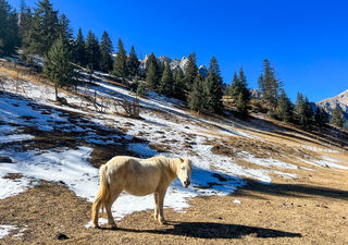 西藏自驾游第20天:从类乌齐到卡若区,游查杰玛大殿与伊日峡谷