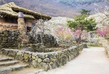 梅花村景点图片