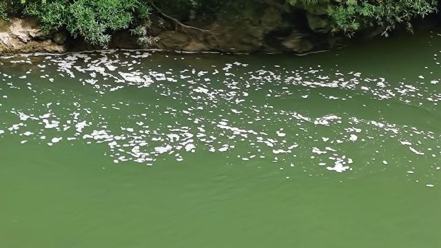 洒金公园旅行图片 1