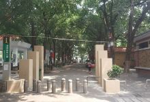 清新公园景点图片