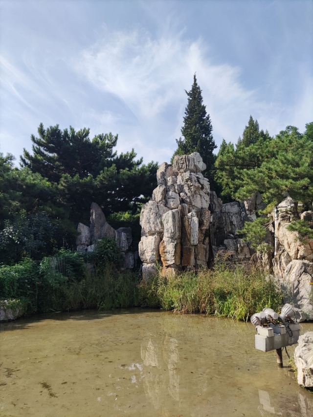 双秀公园旅行图片 1