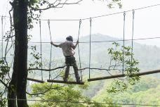 天鹿湖森林公园-广州-C-IMAGE