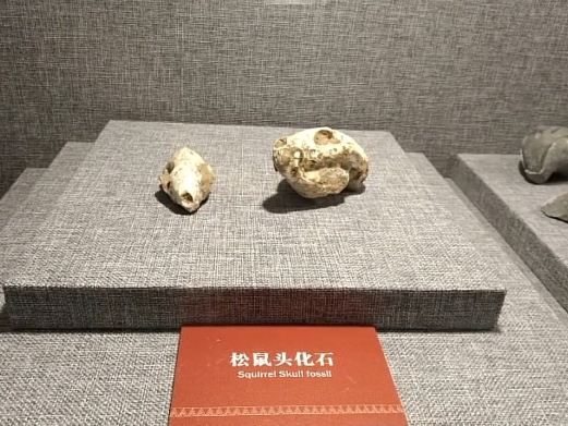 红河州博物馆