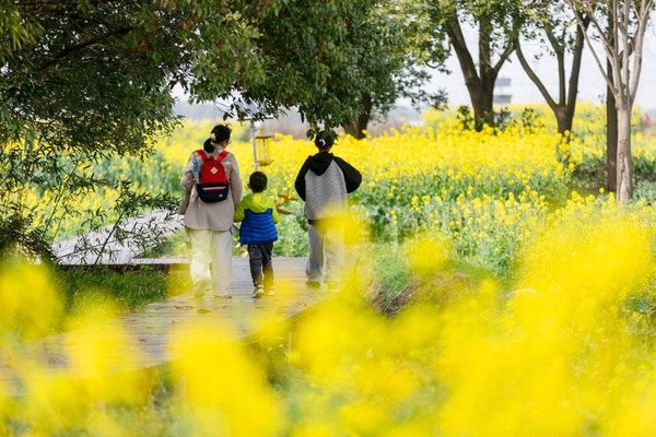 牵只蜗牛去吴江,“荡”“漾”在乡野的春日时光