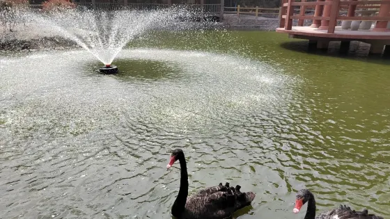 禽鳴苑
