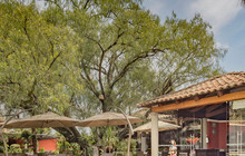 CIUDAD SAGRADA餐厅图片