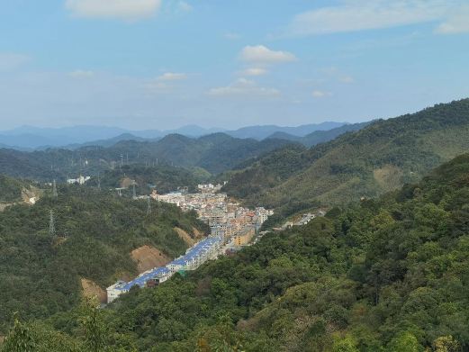 南宫森林公园