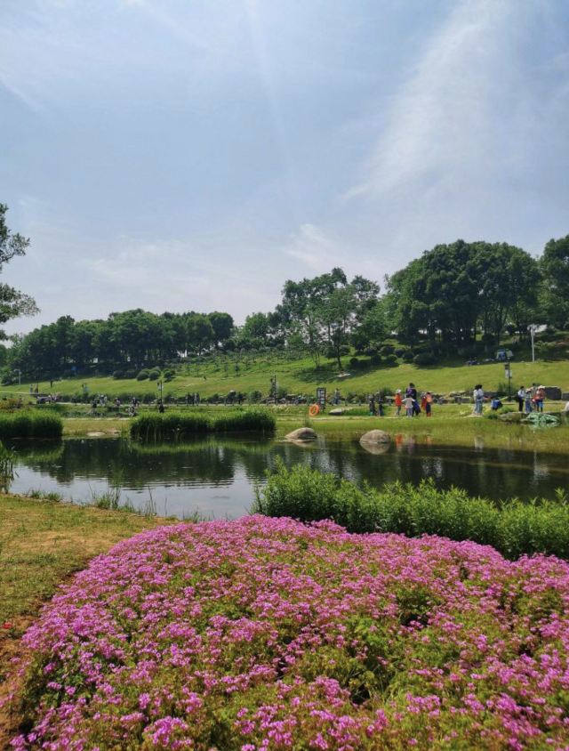 码头潭文化遗址公园旅行图片 1