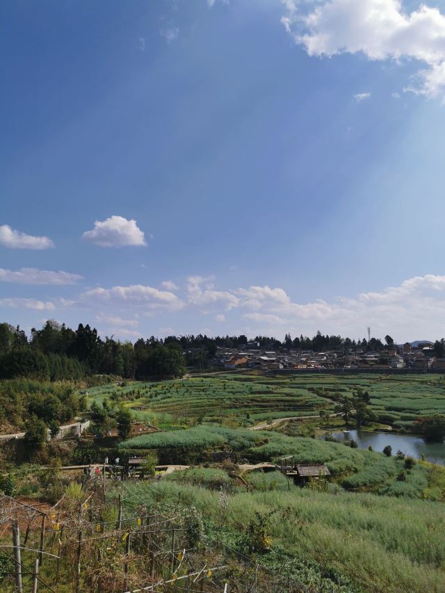 司莫拉佤族村-游览车乘坐区旅行图片 2