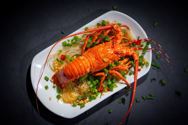 Southern Rock Lobster