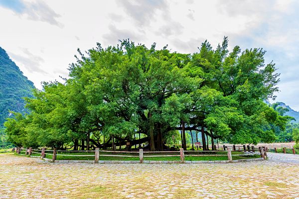 Shili Gallery (Picturesque Landscapes, Relaxed Exploration, Cultural Insights)