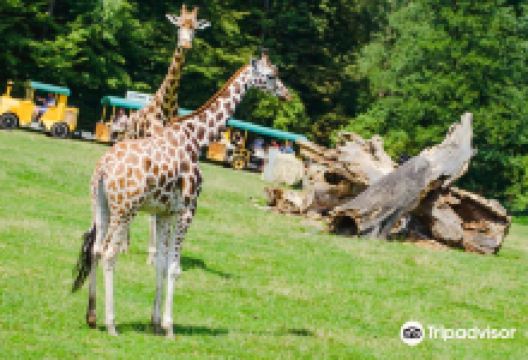 Zoo Ostrava景点图片