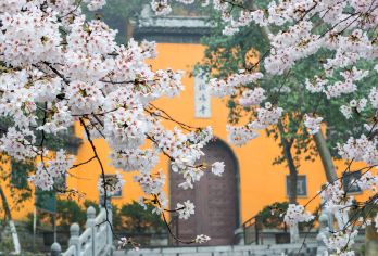 南京鸡鸣寺半日游【精品游1.5H】【私家团含门票】【品斋面】【一场古韵之旅，寻找千年古都的佛教文化瑰宝与历史的足迹。体验寺庙特色素斋面。】