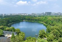 浣花溪公园景点图片