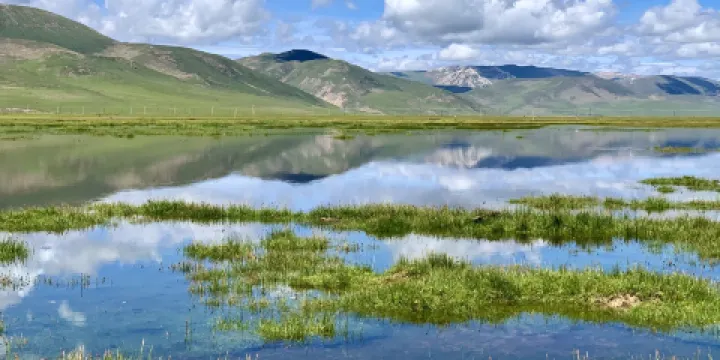 隆寶灘自然保護區