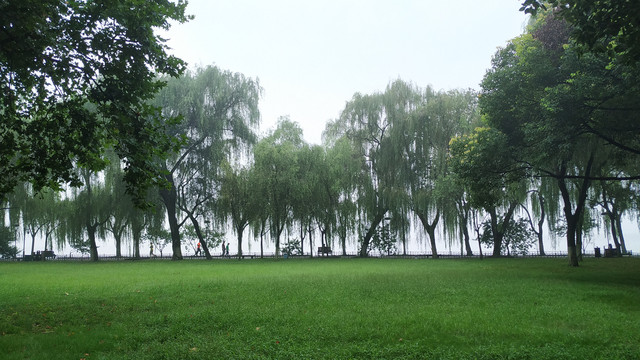 杭州西湖边的柳浪闻莺：暑热中的小记