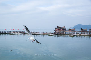 【马玛丽旅行志】五天四晚游古滇,开启一站式暖冬之旅