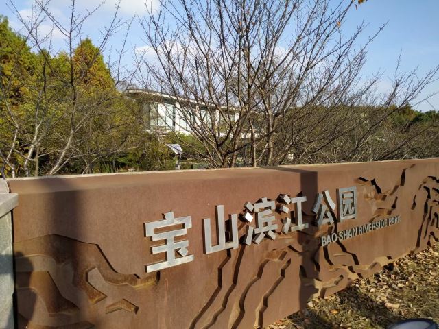 滨江大道旅行图片 1