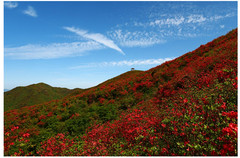 浏阳游记图片] 记大围山七星峰一日游