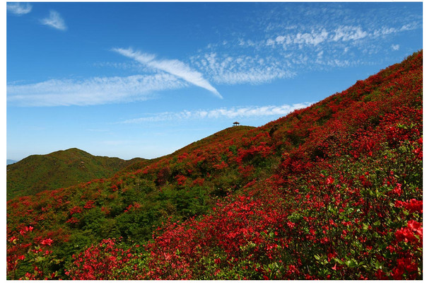 记大围山七星峰一日游