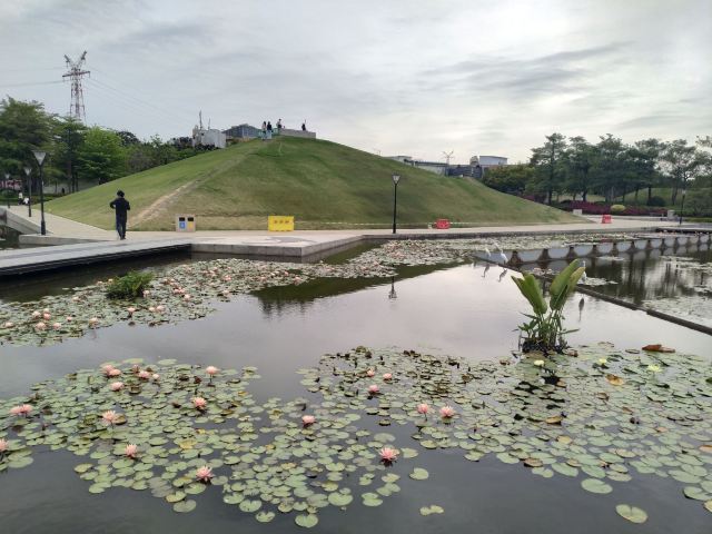 海湾公园旅行图片 7