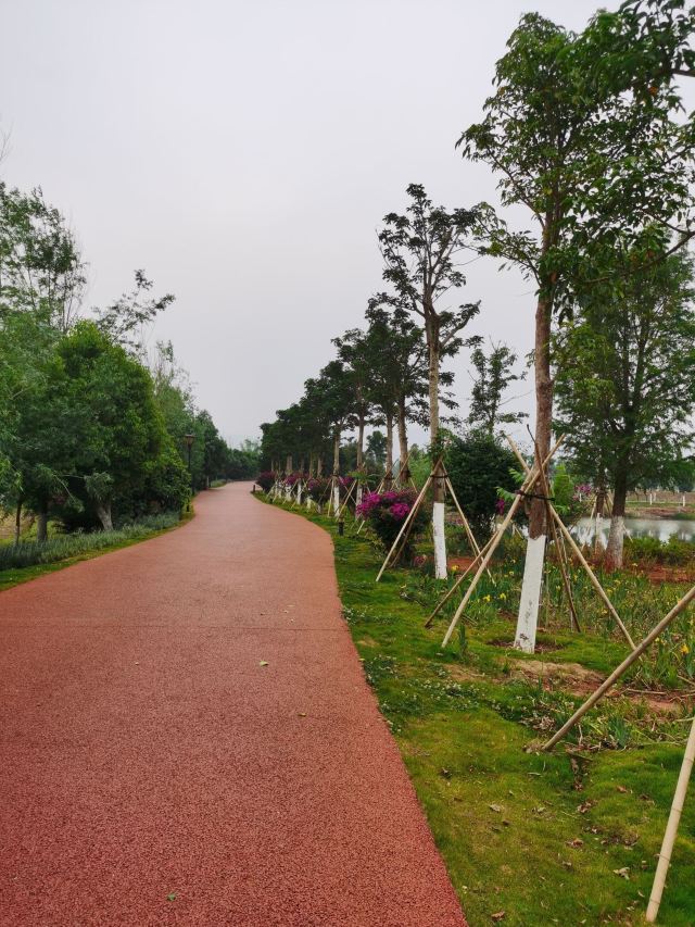个旧市金湖公园旅行图片 4